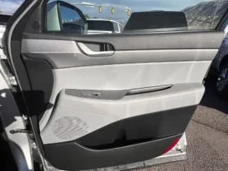 Palisade 31