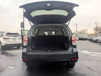 Forester 6