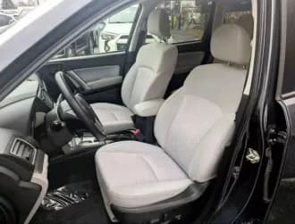 Forester 12
