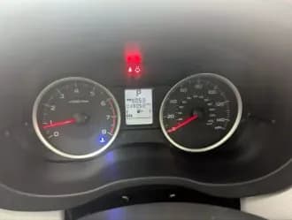 Forester 14