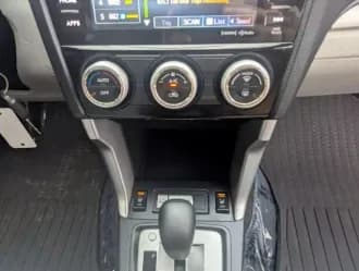 Forester 15
