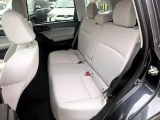 Forester 16