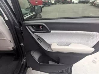 Forester 18