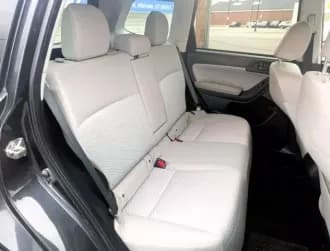 Forester 19
