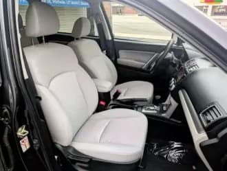 Forester 20