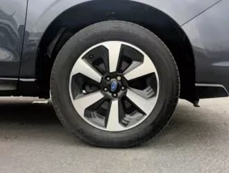 Forester 23