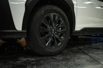 Outback 3