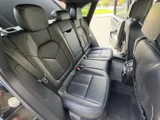Macan 17