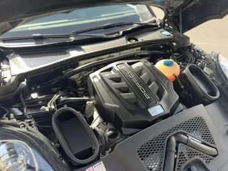Macan 31
