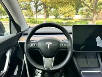 Model Y 7