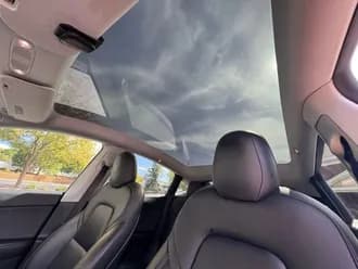 Model Y 10
