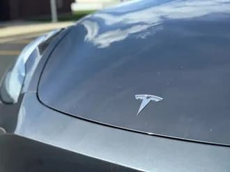 Model Y 19