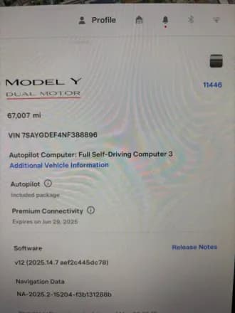 Model Y 11