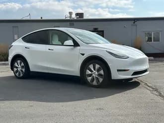 Model Y 11