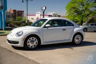Beetle 11