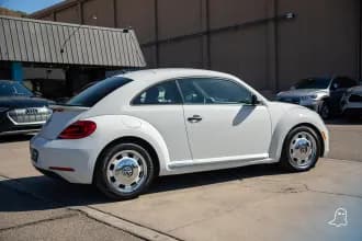 Beetle 5