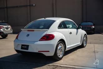 Beetle 6